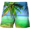 Mens Shorts Sea Nature Scenery 3D Printed Short Pant Swimsuit Men Swimming Trunks Beachwear Cool Boys Kids Beach Sports Pants Drop Del Dhz9H