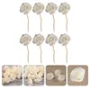 Vases Fragrance Diffuser Sticks Rattan Sola Flower Office Accessories Beautiful Flowers