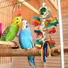 Andere Vogelbenodigdheden Speelgoed Voor Papegaaien Natuurlijk Hout Kleurrijke Kaketoe Kauw Multifunctionele Decoratieve Hangbare Conure Accessoires Vogels