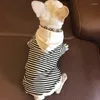 Vêtements pour chiens Terry Sweatshirt Teddy Petit Hipster Frenchie Vêtements Pet Casual