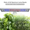 Sistema de cultivo de hidroponia para jardim Kit de jardim de ervas interno Cronometragem automática LED Luzes de cultivo Bomba de água inteligente para vasos de flores em casa 240329