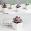 Flores decorativas 4pcs plantas artificiais fornecedor de oxigênio para ambiente natural dedos verdes ecológicos dentro de vasos