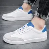 Chaussures décontractées pour hommes, petites chaussures blanches, polyvalentes, mocassins de styliste, baskets pour adultes, automne 2024