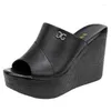Slippers Summer Ladies Fashion Platform Wedge Women's Sandals 2024 Designer High Heel Open Toe Fish Mouth Shoes