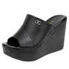 Slippers Zomer Dames Mode Platform Wedge Damessandalen 2024 Designer Hoge Hak Open Teen Vismondschoenen