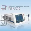 Annan skönhetsutrustning EDESWT Radiell chockvågterapi för fysioterapi ed chockvåg EMS Machine Acoustic