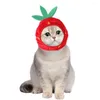 Costume da petatore per copie dell'abbigliamento per cani divertenti peluche corto inspellico cappello da fragole gatto morbido