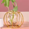 Vaser Metall Frame Flower Plant Round Hollow Decorative Vase for Living Room Sovrum Study