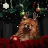 Vêtements de chien de Noël Bandeau pour animaux de compagnie Costume Prop Coiffe Chiot Peluche Fermoirs à cheveux légers