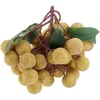 Decoração de festa simulada modelo de fruta artificial longan ornamento decorativo decoração falsa