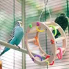 Andere vogelbenodigdheden Speelgoedladder Kleurrijk schommelspeelgoed voor vogels Zitstokken Kauwkooi Accessoires Papegaaimus