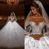 Klassische Ball Brautkleider 3D-florale Applikationen Spitze Langarm Tüll Chapel Kleid Rückenloser Reißverschluss Custom Made Bridal Plus Size Vestidos de Novia