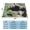 Coperte Fubao Aibao Panda Fu Bao Coperta invernale calda ipoallergenica per viaggi in macchina di facile manutenzione