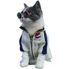 Belle Vintage Round Cat Sunglasses Reflection Eye Wear Lune pour petit chien Chat Pet Photos Pet Products Accessoires