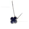 Designer Fashion Van High Version Clover Necklace 925 Puur verzilverde 18K Natural Peter Blue Shining Stone Live With Jewelry Logo
