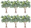 Dekoracyjne kwiaty symulowane sadzonki liści eukaliptusów Krótkie gałęzie z owocami Money pozostawia DIY pojedyncza gałąź nordycka