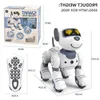 Animaux cadeaux musicaux pour les yeux de chiot, jouets interactifs pour animaux de compagnie, jeu mignon, programmable pour tout-petits, son LED, Robot chien avec ElectricRC Tudd électronique