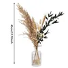 Decorative Flowers Pampas Grass Reed Bouquet Decor Dried Floral Arrangement Artificial Flower Christmas Wedding Table Home Decoration No