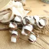 Fiori decorativi Rami di cotone Simulazione naturale Decorazione domestica Matrimonio Cardellino con artificiale
