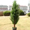 Dekorativa blommor 10x Artificial Green Cypress Tree Leaf Pine Leaves Branch Christmas Wedding Decoration Home Office El Decor Micro