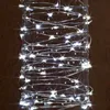 Stringhe LED CR2032 Funzionamento a batteria 1M 10LED Micro Led Stellato String Light Impermeabile Filo di rame argento Fata per Natale YQ240401