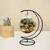 Decorative Plates Hanging Bottle Moon Iron Micro-landscape Stand Creative Flower Crescent Hook Display