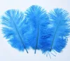 15-20CM Beautiful cheap Ostrich Feathers for DIY Jewelry Craft Making Wedding Party Decor Accessories Wedding Decoration 2024401