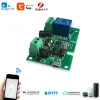 Kontroll Zigbee 1Ch Ewelink Tuya Smart Life Gate Switch Module, DC 12V 24V 32V 220V, 1 kanal RF433 Relä för 2MQTT GATEWAY SMARTTHINGS