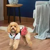 Abbigliamento per cani Piccoli abiti per animali domestici per cani Estate Primavera Lusso Perla Red Riding Hood Articoli per forniture