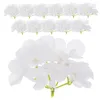 Decoratieve Bloemen 12 Stuks Eettafel Decor Kunstmatige Hortensia Hoofd Voor Decoratie Feestornament Bal Zijde Wit Buiten