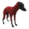 Cappotto dolcevita per abbigliamento per cani per escursioni a piedi Giacche da campeggio Cani di piccola taglia invernali