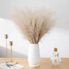 Fleurs décoratives 5 pièces 45 cm Simulation Reed fausse plante artificielle Pampas herbe Boho mariage fond décoration Vase chambre Po Prop