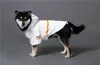 Hondenkleding Kleding voor regenjas Kleine grote honden Huisdierjas Sportkleding Puppy Nachtzicht Reflecterend Husky Samojeed