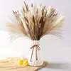 Fleurs décoratives séchées Pampas Reed décoration 75 pièces bouquet de fleurs naturelles queue Boho maison salon Table mariage noël