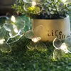 Stringhe LED Batteria Power Ball String Lights Ghirlanda Outdoor Christmas Wedding Party Decorazione Wire Holiday YQ240401