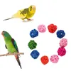 Other Bird Supplies Gnaws Lower Foot Cage Decoration For Parakeet Budgie Parrot Chewing Toy Training Ball