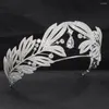 Pinces à cheveux en zircone cubique, feuilles de mariée, diadème de princesse, couronne, accessoires de bijoux pour femmes, CH10333