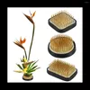 Fiori decorativi 3 pezzi Rane di fiori Ikebana giapponesi per la disposizione Kenzan Kit JP Accessori Forniture