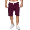 Herren-Shorts, 2024, Sommer, Strandhose, lässig, Übergröße, Baumwolle, fünf Viertel, Sport, Medium