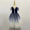 Детский пояс-соболезнование, вуаль для взрослых, одежда для балета, длинная юбка, маленький лебедь, танец принцессы с блестками, платье, униформа 240321