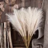 Fleurs décoratives 5 pièces 45 cm Simulation Reed fausse plante artificielle Pampas herbe Boho mariage fond décoration Vase chambre Po Prop