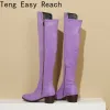 Boots Womens Overtheknee boots 2023 Autumn Winter Low Heels Knee High Boots Zipper Black purple green Ladies Chelsea Shoes Brand