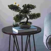 Fleurs décoratives, chanson de bienvenue, simulation de bonsaï, fausses plantes artificielles en plastique pour la décoration intérieure de la maison
