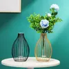 Vase Nordic Minimalist Wrought Iron Geometric Glass Tube Hydroponic Vase Home Desktop Decoration Flower Oraments