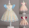 Beauty Sky Blue Pink Wine Jewel Girl's Birthday/Party Dresses Girl's Pageant Dresses Flower Girl Dresses Girls Everyday kjolar Kids 'Wear SZ 2-10 D401120