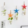 Vases Fresh Creative Hydroponic Glass Vase Plants Wall Hanging Greens Ins Door Curtain Decoration Small Starfish