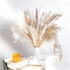 Decorative Flowers & Wreaths Dry Pampas Grass Decor 92Pcs Tall Dried Flower Bouquet Drop Delivery Home Garden Festive Party Supplies Dh9Yh