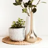 Vases 4 Pcs Small Vase Exquisite Copper Metal Ornament Plant Terrarium Planter Delicate Pure Birthday Gift Ceramic For Flowers