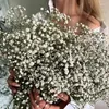 Decorative Flowers Natural Dried Gypsophila Flower Baby Breath Branches For Wedding Decoration Diy Bouquets GIft Floral Home Decor