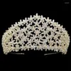 مقاطع الشعر Tiaras و Crowns Hadiyana التصميم الفاخرة لحفل حفلات الزفاف للنساء أنيقة عالية الجودة BC4434 Accessoire Femme